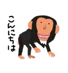 チンパンジーのバーブくん 2（個別スタンプ：9）