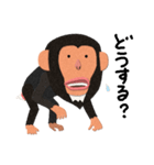 チンパンジーのバーブくん 2（個別スタンプ：15）