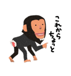 チンパンジーのバーブくん 2（個別スタンプ：31）