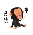 チンパンジーのバーブくん 2（個別スタンプ：34）
