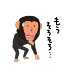 チンパンジーのバーブくん 2（個別スタンプ：37）