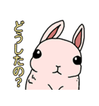どう使う？落書き動物達のスタンプ集！（個別スタンプ：18）