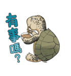 Tortoise diary - Part.3（個別スタンプ：33）