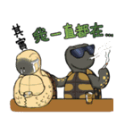 Tortoise diary - Part.3（個別スタンプ：34）