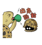 Tortoise diary - Part.3（個別スタンプ：40）