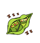 枝豆忍者（個別スタンプ：24）