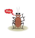 Daily Life of Cockroach（個別スタンプ：1）
