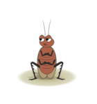 Daily Life of Cockroach（個別スタンプ：2）