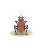 Daily Life of Cockroach（個別スタンプ：3）