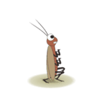 Daily Life of Cockroach（個別スタンプ：4）