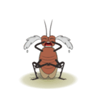Daily Life of Cockroach（個別スタンプ：18）