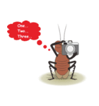 Daily Life of Cockroach（個別スタンプ：37）