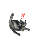 猫のぶんた（個別スタンプ：5）