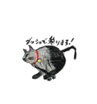猫のぶんた（個別スタンプ：10）
