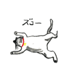 猫のぶんた（個別スタンプ：28）