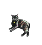 猫のぶんた（個別スタンプ：37）