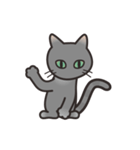 グレぬこ（個別スタンプ：1）