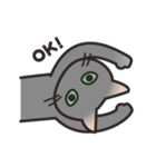 グレぬこ（個別スタンプ：5）