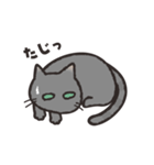 グレぬこ（個別スタンプ：13）