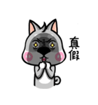 Wish japan Dog 2（個別スタンプ：7）