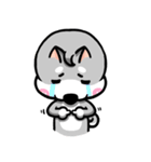 Wish japan Dog 2（個別スタンプ：15）