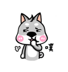 Wish japan Dog 2（個別スタンプ：17）