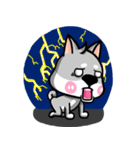 Wish japan Dog 2（個別スタンプ：20）