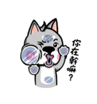 Wish japan Dog 2（個別スタンプ：26）