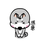 Wish japan Dog 2（個別スタンプ：30）