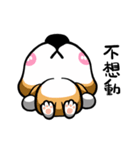 Wish japan Dog 2（個別スタンプ：35）