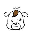 犬の太郎とまつげ！！第1段（個別スタンプ：5）