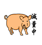 生意気な動物スタンプ（個別スタンプ：12）