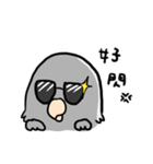 Grey Parrot bird dohua（個別スタンプ：5）