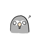 Grey Parrot bird dohua（個別スタンプ：14）