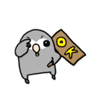 Grey Parrot bird dohua（個別スタンプ：15）