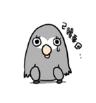 Grey Parrot bird dohua（個別スタンプ：22）