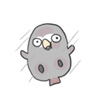 Grey Parrot bird dohua（個別スタンプ：34）