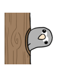 Grey Parrot bird dohua（個別スタンプ：35）