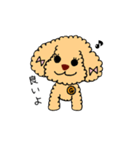 トイプードルさくら（個別スタンプ：1）
