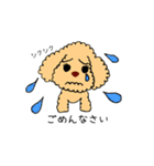 トイプードルさくら（個別スタンプ：5）