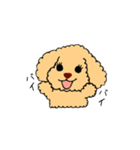 トイプードルさくら（個別スタンプ：6）