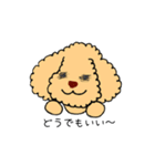 トイプードルさくら（個別スタンプ：7）