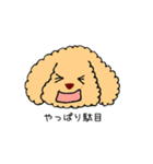 トイプードルさくら（個別スタンプ：9）