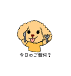 トイプードルさくら（個別スタンプ：10）