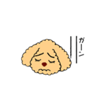 トイプードルさくら（個別スタンプ：13）
