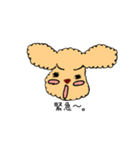 トイプードルさくら（個別スタンプ：17）