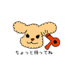 トイプードルさくら（個別スタンプ：19）