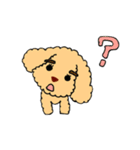 トイプードルさくら（個別スタンプ：22）