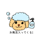 トイプードルさくら（個別スタンプ：25）