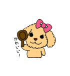 トイプードルさくら（個別スタンプ：26）